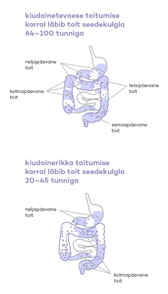 Toidu liikumine seedetraktis